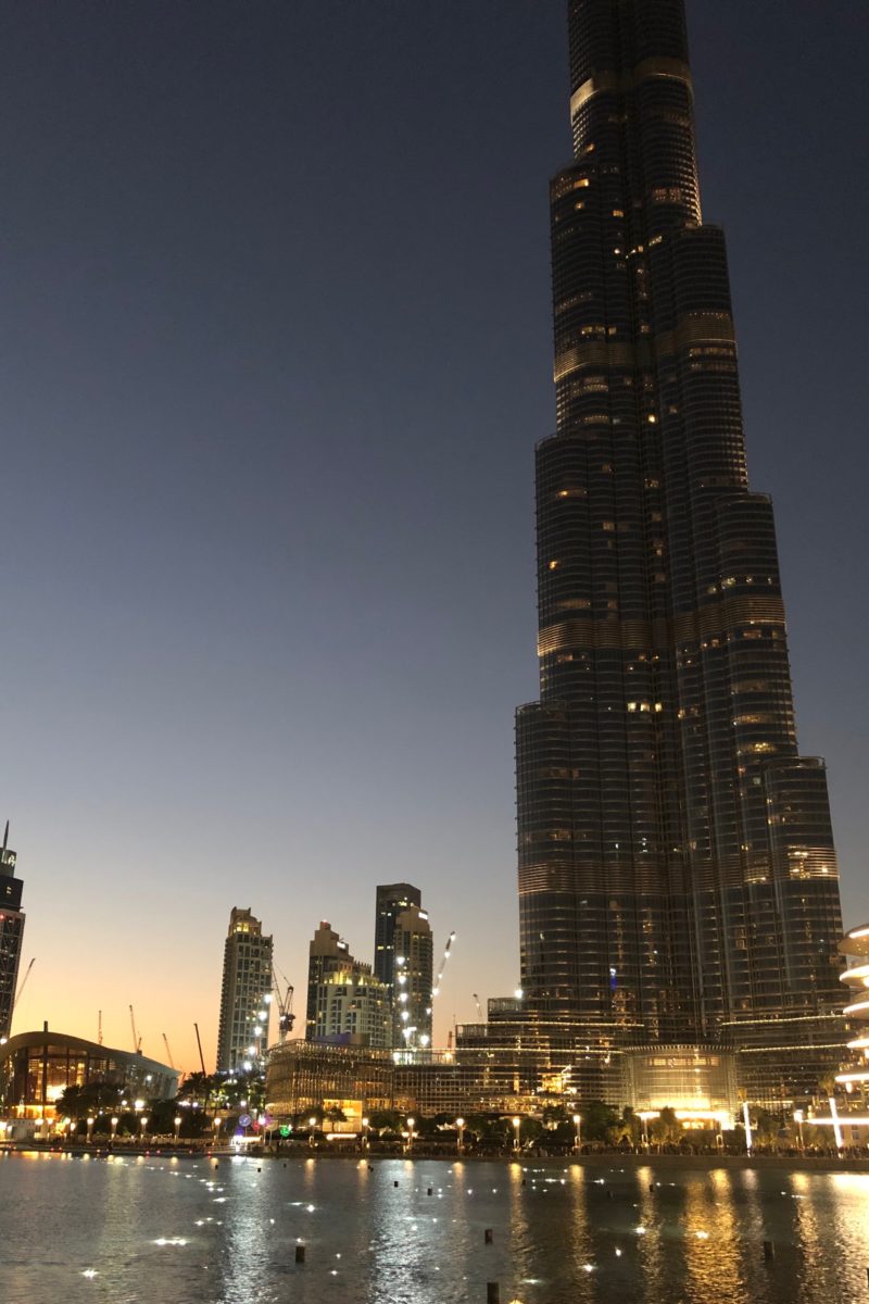 Dubai – The First 105 Days
